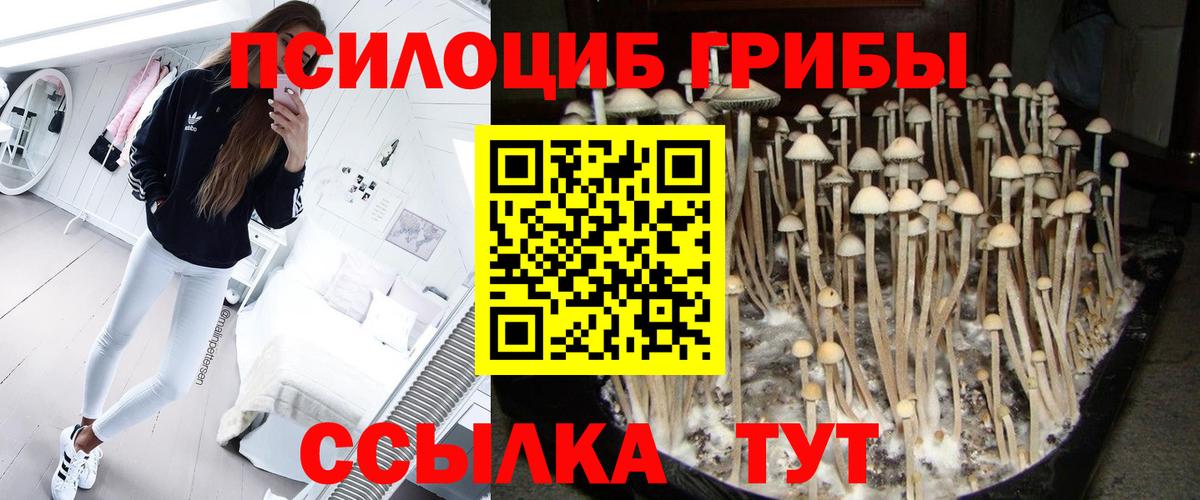 Псилоцибиновые грибы мухоморы Большой Камень