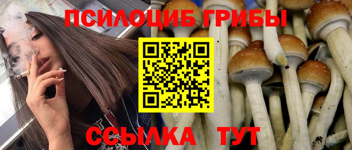 Большой Камень  Галлюциногенные грибы мухоморы  Вход с VPN 